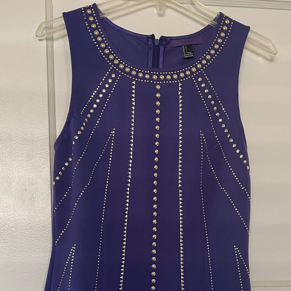 Purple Dress w/ Gold metal accents
